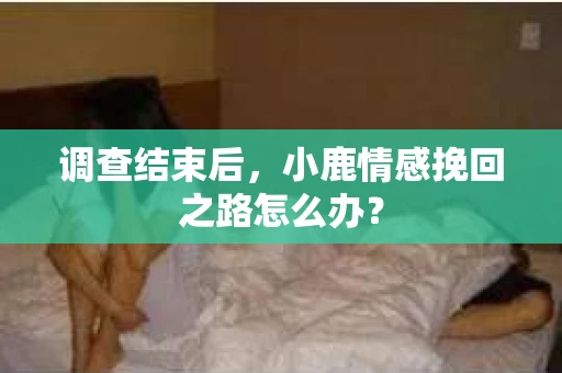 调查结束后，小鹿情感挽回之路怎么办？