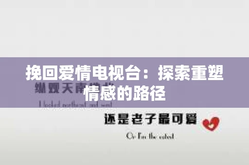 挽回爱情电视台：探索重塑情感的路径