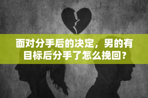 面对分手后的决定，男的有目标后分手了怎么挽回？