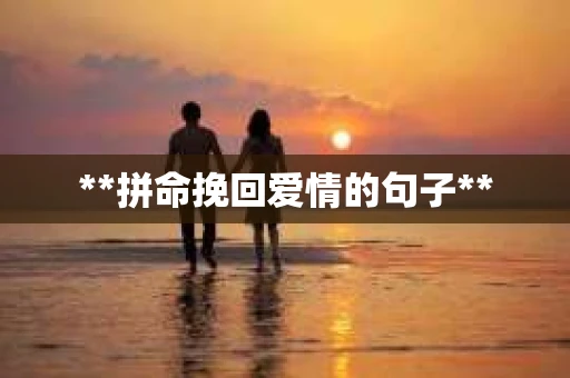 **拼命挽回爱情的句子**