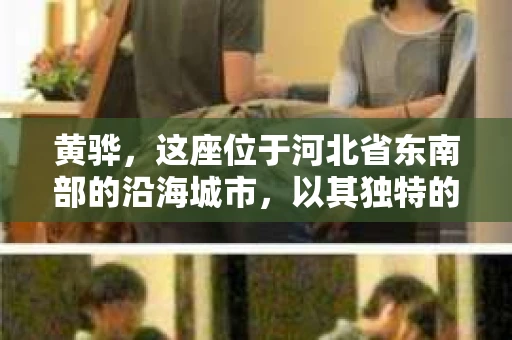 黄骅，这座位于河北省东南部的沿海城市，以其独特的地理位置和丰富的历史文化而闻名。然而，在这座城市中，还有一群人，他们以另一种方式默默守护着社会的公平与正义——私家侦探。今天，我们就来聊聊黄骅的私家侦探，看看他们是如何在这个城市中发挥作用的。
