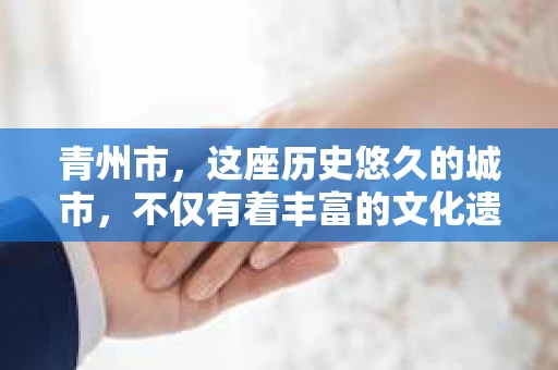 青州市，这座历史悠久的城市，不仅有着丰富的文化遗产，也有着现代生活的便捷。那么，问题来了——青州市有私家侦探公司吗？这个问题，对于需要侦探服务的人来说，无疑至关重要。接下来，我就来为大家揭开这个谜底。