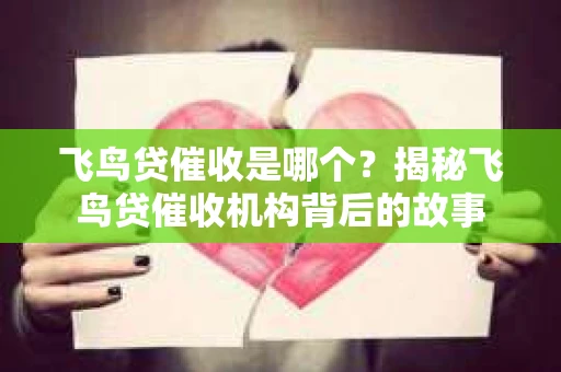 飞鸟贷催收是哪个？揭秘飞鸟贷催收机构背后的故事