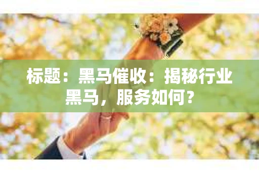标题：黑马催收：揭秘行业黑马，服务如何？