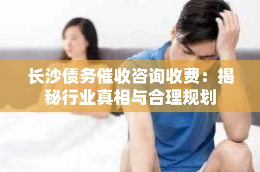 长沙债务催收咨询收费：揭秘行业真相与合理规划