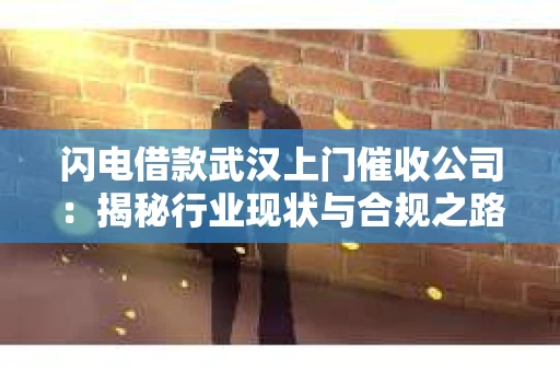 闪电借款武汉上门催收公司：揭秘行业现状与合规之路