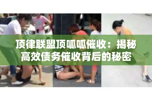 顶律联盟顶呱呱催收：揭秘高效债务催收背后的秘密