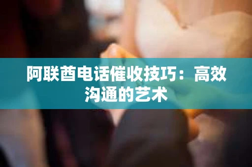 阿联酋电话催收技巧：高效沟通的艺术