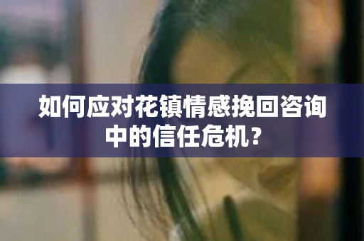 如何应对花镇情感挽回咨询中的信任危机？