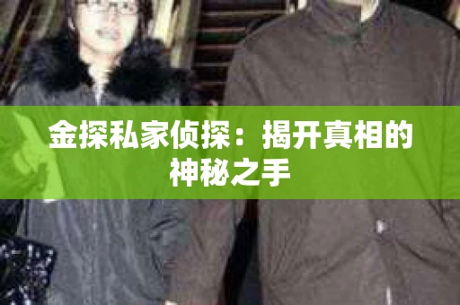 金探私家侦探：揭开真相的神秘之手