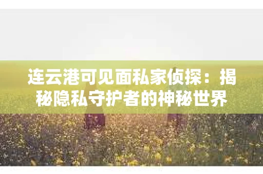 连云港可见面私家侦探：揭秘隐私守护者的神秘世界