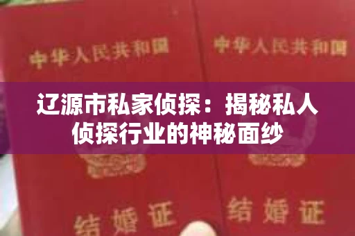 辽源市私家侦探：揭秘私人侦探行业的神秘面纱