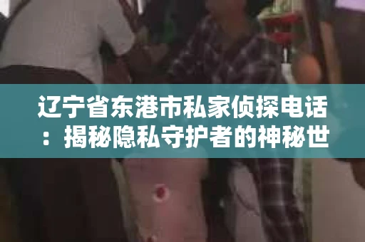 辽宁省东港市私家侦探电话：揭秘隐私守护者的神秘世界