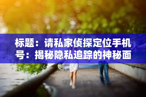 标题：请私家侦探定位手机号：揭秘隐私追踪的神秘面纱