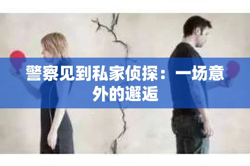 警察见到私家侦探：一场意外的邂逅