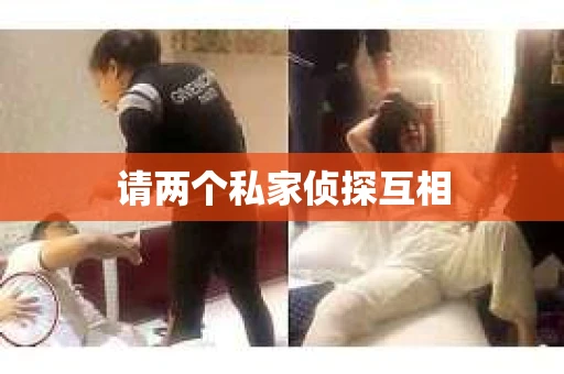 请两个私家侦探互相