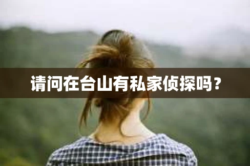 请问在台山有私家侦探吗？
