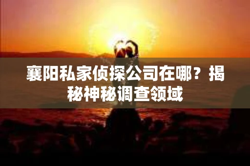 襄阳私家侦探公司在哪？揭秘神秘调查领域