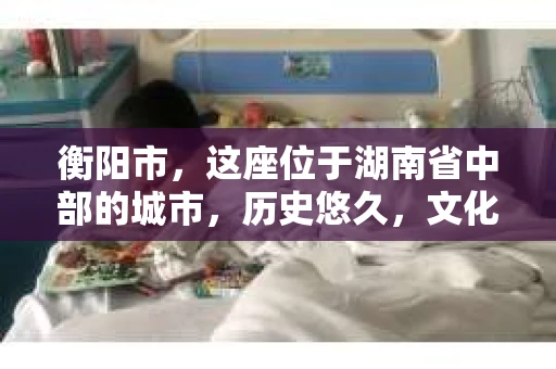 衡阳市，这座位于湖南省中部的城市，历史悠久，文化底蕴深厚。随着社会的发展，人们对于个人隐私的保护意识逐渐增强，私家侦探机构也应运而生。那么，衡阳市是否有私家侦探机构呢？今天，我们就来聊聊这个话题。
