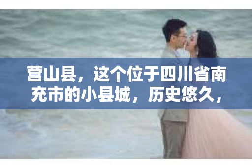营山县，这个位于四川省南充市的小县城，历史悠久，风景秀丽。但在这个宁静的小县城里，你是否会好奇，有没有私家侦探的存在呢？今天，我就来和大家聊聊这个话题。