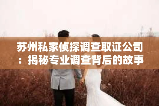 苏州私家侦探调查取证公司：揭秘专业调查背后的故事