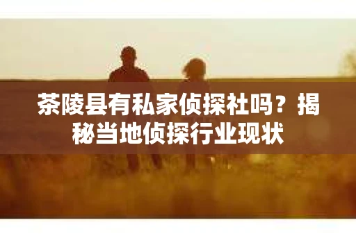 茶陵县有私家侦探社吗?揭秘当地侦探行业现状 茶陵县有私家侦探社吗?揭秘当地侦探行业现状