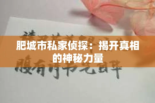 肥城市私家侦探：揭开真相的神秘力量