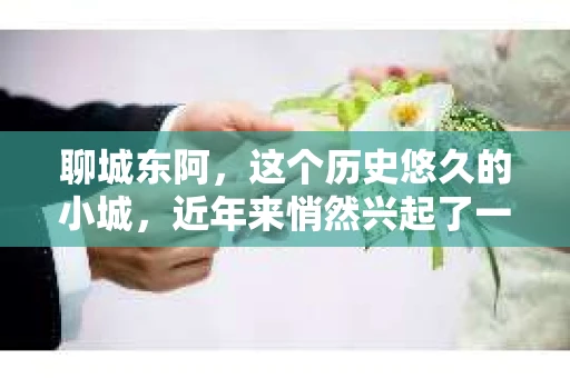 聊城东阿，这个历史悠久的小城，近年来悄然兴起了一股新的服务潮流——私家侦探。今天，我们就来聊聊这个话题，看看在聊城东阿，私家侦探是如何成为人们生活中的一部分的。