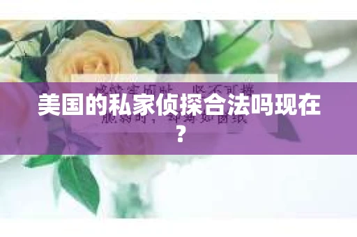美国的私家侦探合法吗现在？