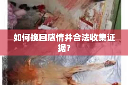 如何挽回感情并合法收集证据？