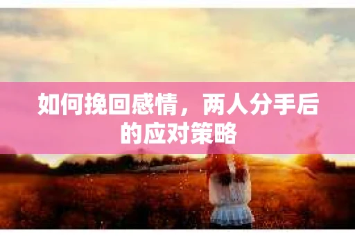 如何挽回感情，两人分手后的应对策略