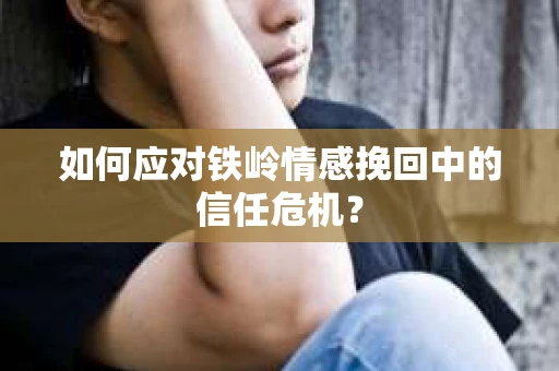如何应对铁岭情感挽回中的信任危机？